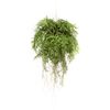 Emerald Изкуствена висяща папрат с корени, 55 см