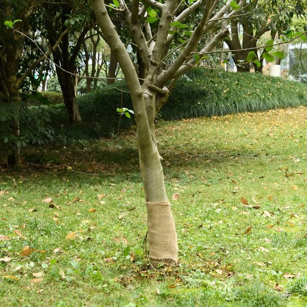 Показване снимка 2 от 7