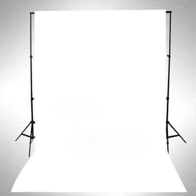 vidaXL Фотографски фон, памук, бял, 500х300 см