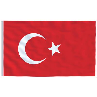 vidaXL Флаг на Турция и стълб, 6,23 м, алуминий