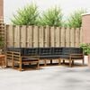 vidaXL Комплект дивани за открито 6 pcs Натурален и Антрацит