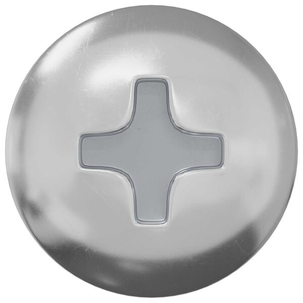 vidaXL Самонарезен гвоздей 2 pcs Цинковано 4 x 20 мм Стомана