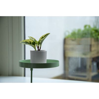 Esschert Design Подложка за растения със скоба кръгла зелена M