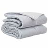 vidaXL Пълно годишно юрганче 240 х 260 см 300 gsm Сребрист