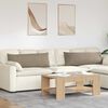 vidaXL Диван възглавници 2 pcs Таупе 120 x 40 cm текстил
