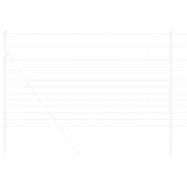 vidaXL Див ограда Горещо поцинковано 1000 x 140 x 0,18 см Желязо