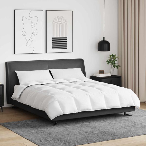 vidaXL Зимен юрган с възглавница 3 pcs Бяло Пухени пера