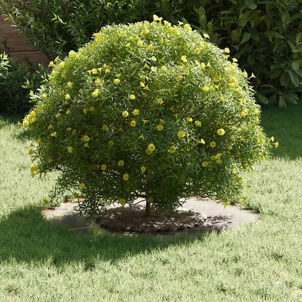 vidaXL подходяща за плоски дървени халки 5 pcs Сребрист Ø30 / 60 см