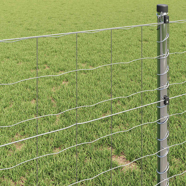 vidaXL Европейска ограда Сребрист 1.6 x 10 m Горещо поцинкована желязо