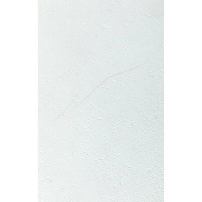 Grosfillex Стенни плочки Gx Wall+ 11 бр камък 30x60 см бели