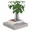 vidaXL Окачени стенни рафтове, 4 бр, бетонно сиви, 23x23,5x3,8 см, МДФ