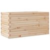 Natural_pine