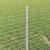 Изображение на продукта 4 от 13