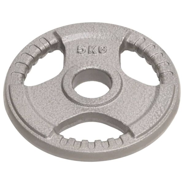 vidaXL Дискове за тежести, 4 бр, 20 кг, чугун