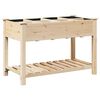 vidaXL Градинска саксия Бежово 115 x 59 x 76,5 см Солидно ела дърво