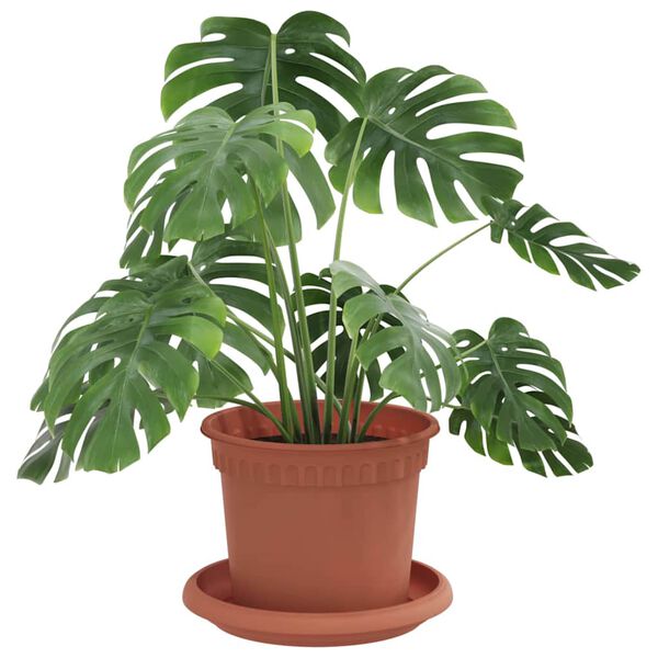 Показване снимка 3 от 12