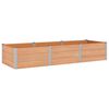 vidaXL Градинска повдигната леха Кафяво 300 x 100 x 54 cm