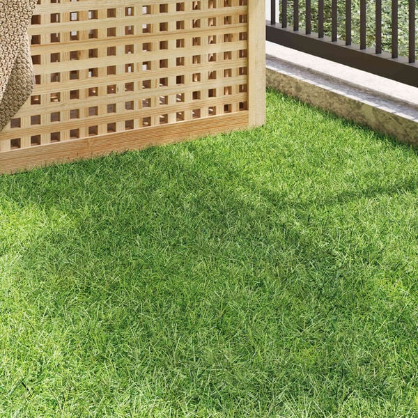 Показване снимка 3 от 10