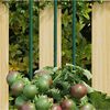 Изображение на продукта 2 от 5