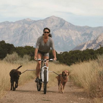PetEgo Универсален кучешки повод за велосипеди Cycleash 85 см