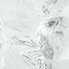 Изображение на продукта 10 от 12