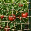 Изображение на продукта 2 от 6