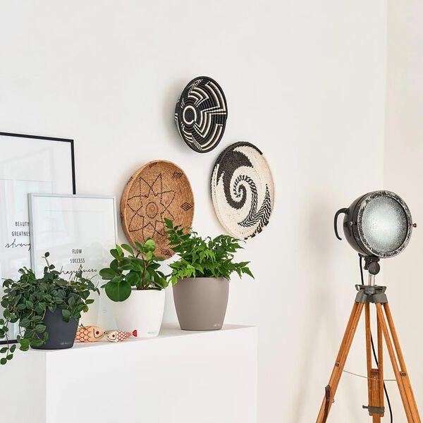 LECHUZA Плантер CLASSICO Color 18 ALL-IN-ONE, шисти