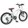 vidaXL Kids Mountain Bike 20 инча 6-Speed за 5-8 години Бяло