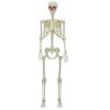 vidaXL Halloween скелет Бяло 155 x 38,5 см Полипропилен