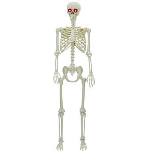vidaXL Halloween скелет Бяло 155 x 38,5 см Полипропилен