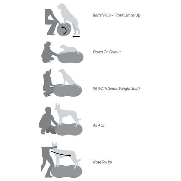 FitPAWS Платформа за баланс на куче Trax Peanut, 40 см, жълта