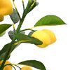 Изображение на продукта 4 от 5