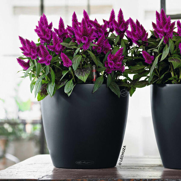 LECHUZA Плантер CLASSICO Color 21 ALL-IN-ONE, шисти