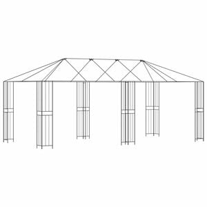 vidaXL Куполна рамка без платно 6 x 3 m Черно Стомана
