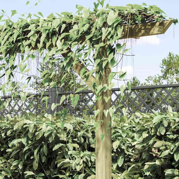 Показване снимка 4 от 11