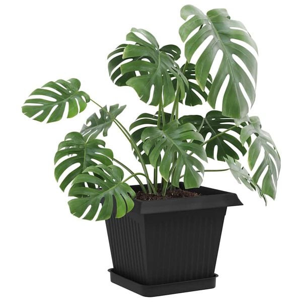 Показване снимка 3 от 10