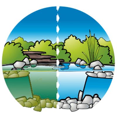 Ubbink Препарат за поддръжка на вода в езеро Aqua Clear 500 мл