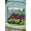 Nature саморазпъващ се парник 100 x 100 x 100 см, 6020408