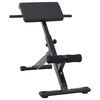 vidaXL Хиперекстензия Черно 100,5 x 70 x 78 см