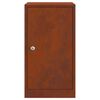 vidaXL Пощенска кутия Ръждясало 30 x 20 x 55 см Патинираща стомана