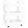 High_gloss_white