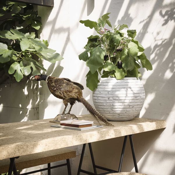 Capi Ваза Nature Row, топка, 40x32 см, слонова кост, KRWI270