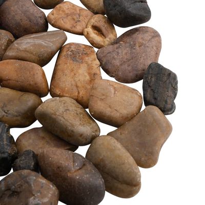 vidaXL Полирани камъчета 25 кг микс цветове 2-5 см