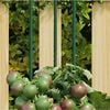 Изображение на продукта 2 от 5