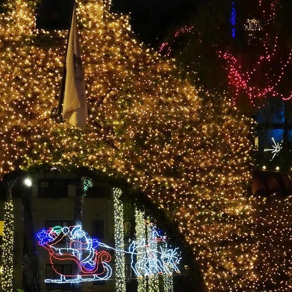 vidaXL Лед мрежа Тъмен зелен