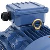 vidaXL Трифазен електромотор алуминий 4kW/5,5HP 2 полюса 2840 об/мин