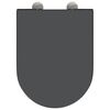 vidaXL Бързо освобождаваща тоалетна седалка Антрацит