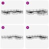 vidaXL Комплект дивани за открито 10 pcs Естествен