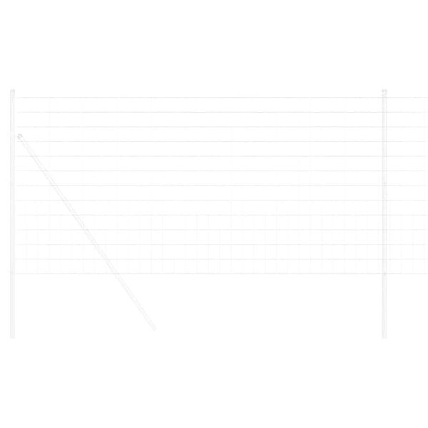 vidaXL Европейска ограда 1 x 25 m Желязо с PVC покритие