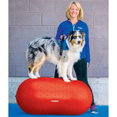 FitPAWS Платформа за баланс на куче Trax Peanut, 50 см, червена